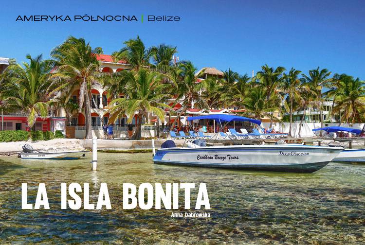 Artykuł: La Isla Bonita